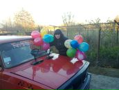 Фотография Богдановой Яны