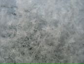 Фотография Симашёва Артура