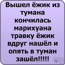 Толік Баженов фотография #3 (источник - https://vk.com/id132347709)