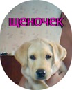 Фотография Бурковой Юлии