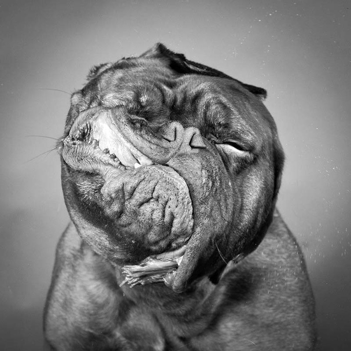 Боря Антоник фотография #8