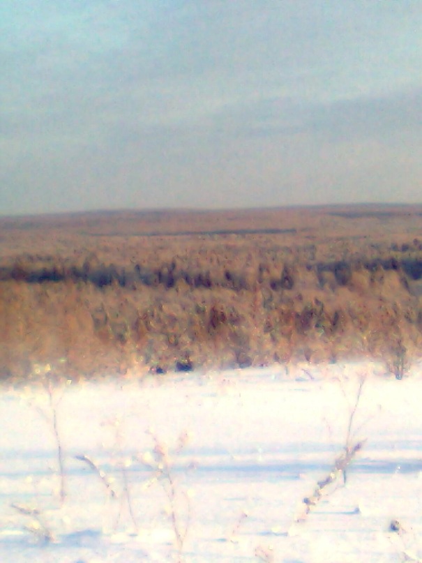 Дмитрий Шипицын фотография #23