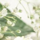 Іринка Ходинчак фотография #16 (источник - https://vk.com/id32260967)