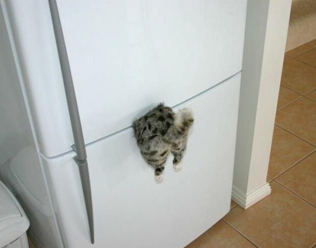 Vikky Strawberry фотография #30