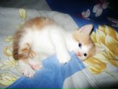 Фотография Ковалёвой Вероники