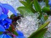 Настік Літвенчук фотография #39 (источник - https://vk.com/id131619202)