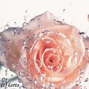 Марішка Angel фотография #19 (источник - https://vk.com/id135949861)