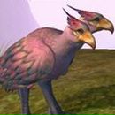 Фотография Степанян Гаянэ