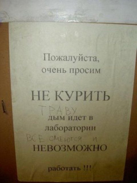 Viktor E. фотография #17