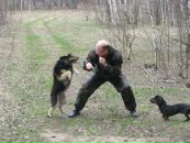 Фотография Ермушева Андрея