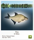 Вася Предій фотография #2 (источник - https://vk.com/id157056236)