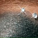 Андріана Шведа фотография #30 (источник - https://vk.com/id138941313)