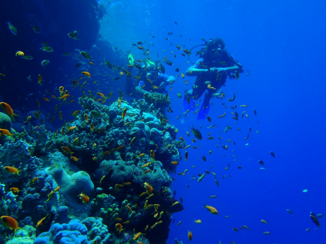 Vit Mi фотография #22