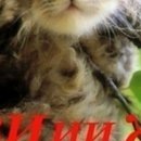 Настусік Радзік фотография #20 (источник - https://vk.com/id120908089)