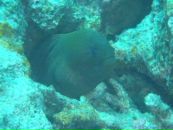 Евгений Мурышкин фотография #46 (источник - https://vk.com/id107583)