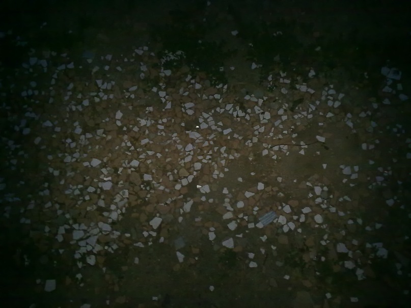 Данил Ушаков фотография #9