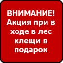 Саша Павловский фотография #41 (источник - https://vk.com/id134968891)