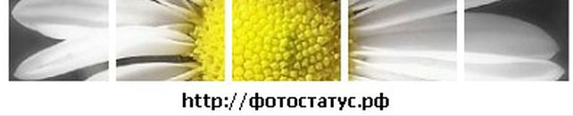 Олена Гордієнко фотография #40 (источник - https://vk.com/id58280245)