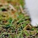 Вєталь Серйозний фотография #45 (источник - https://vk.com/id136859700)