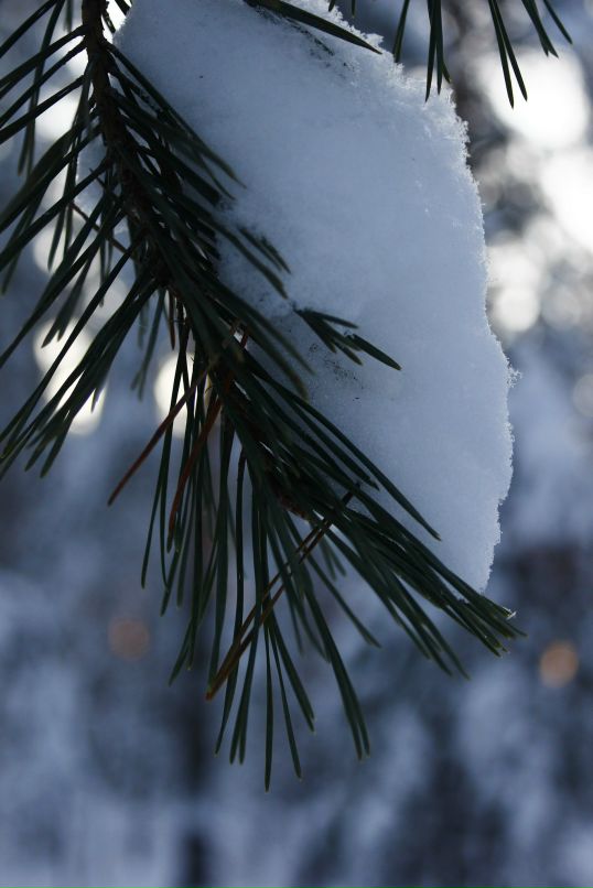 Дмитрий Удельнов фотография #42