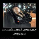 Іван Козачек фотография #20 (источник - https://vk.com/id101456755)