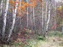 Луїза Бедін фотография #21 (источник - https://vk.com/id144050814)