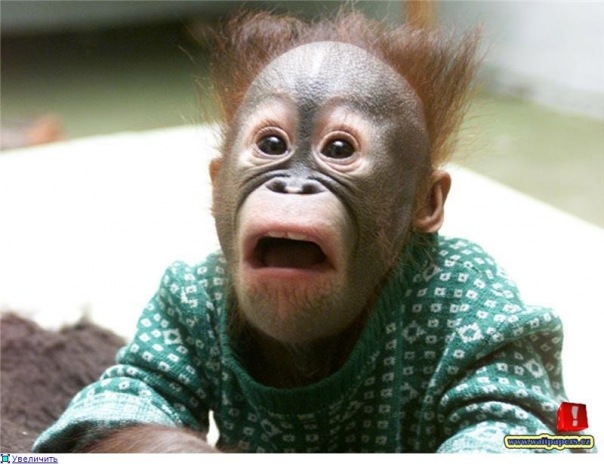 №7, Алексей Коврижных, Москва №7, Алексей Коврижных, Москва