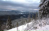 Иван Мищенко фотография #11 (источник - https://vk.com/id1783977)