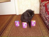 Дюрі Масяк фотография #15 (источник - https://vk.com/id19779231)