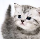 Іннуся Варварич фотография #30 (источник - https://vk.com/id160732866)