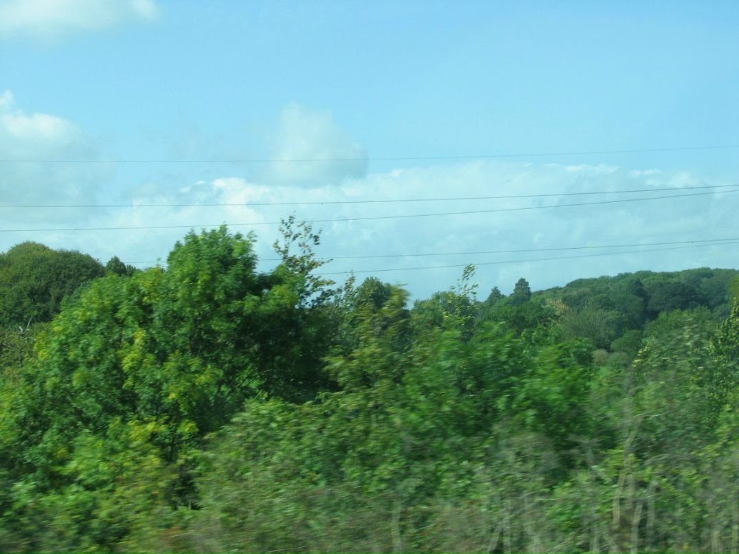 Ромул Рем фотография #36