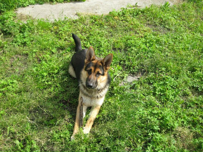 Дмитрий Веренич фотография #29