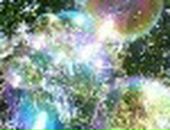 Вікуся Пустовалова фотография #6 (источник - https://vk.com/id47856574)