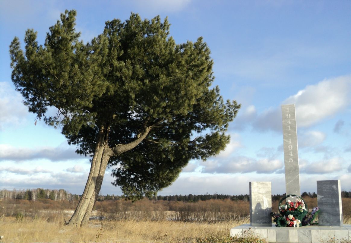 Олег Лопаев фотография #29