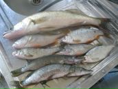 Рустем Лутфуллин фотография #21 (источник - https://vk.com/id8515565)