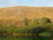 Рустем Лутфуллин фотография #25 (источник - https://vk.com/id8515565)