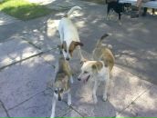 Igor Igor фотография #14 (источник - https://vk.com/id577602)