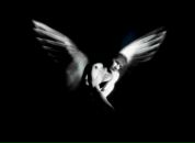 Андрій Онищук фотография #20 (источник - https://vk.com/id12428469)