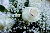 Dmitriy Mikhaylov фотография #18 (источник - https://vk.com/id1586999)