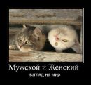 Фотография Степановой Светланы