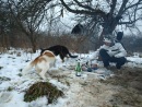 Лайма Двіжова фотография #1