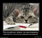 Фотография Ловцева Евгения