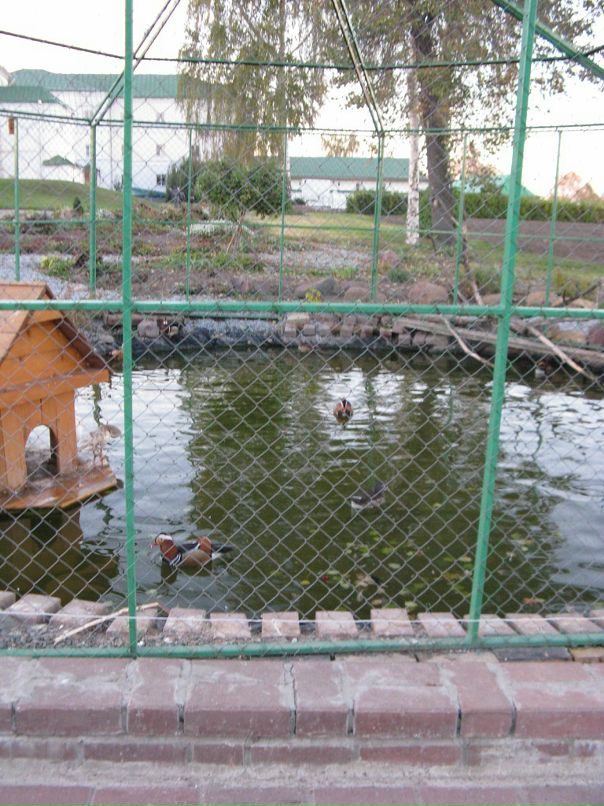 Мария Бильчук фотография #40