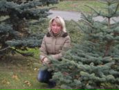 Фотография Калашниковой Ольги