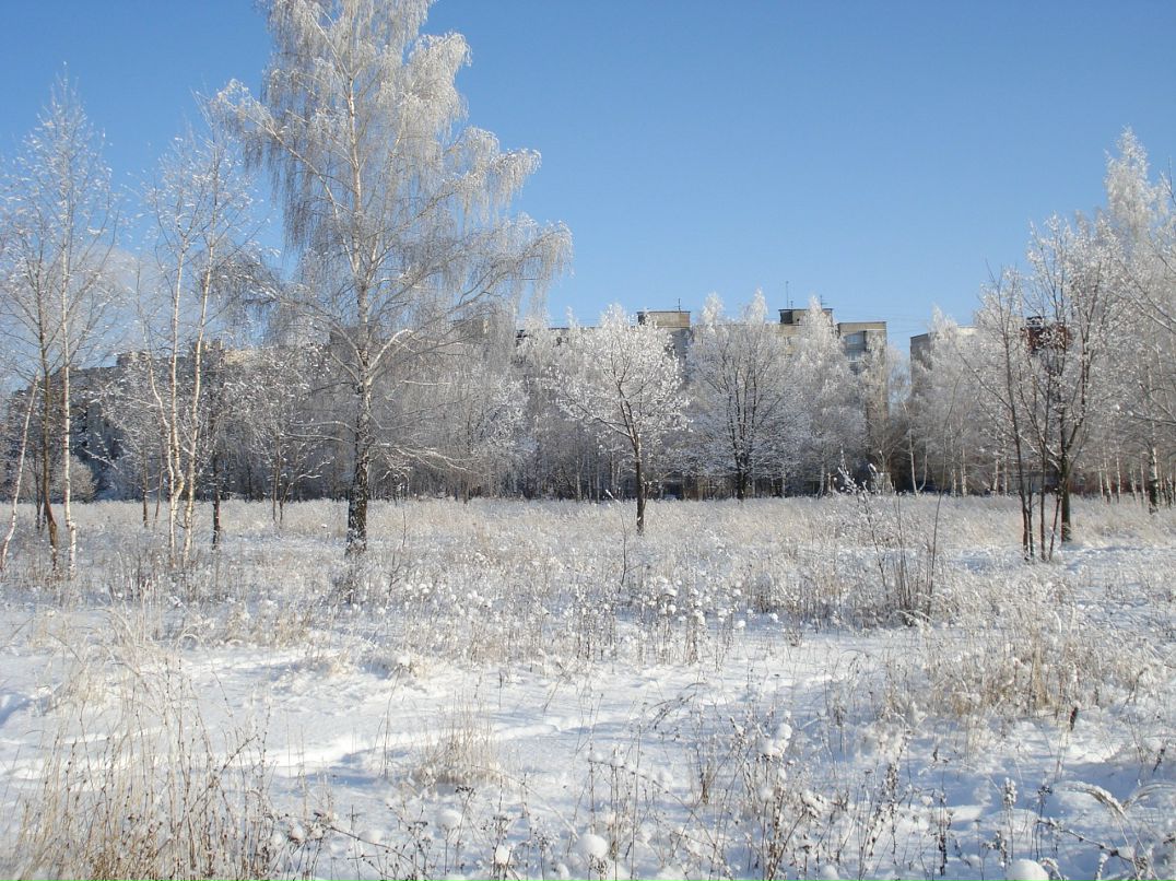 Дмитрий Лаёв фотография #37