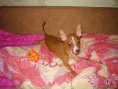 Фотография Вадимов Вадим