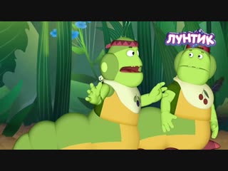 Цветы для вкусноты