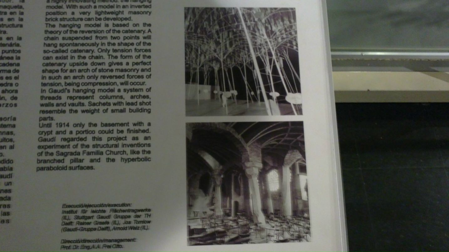 Александр П. фотография #36