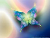 Фотография Солис Дины