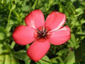 Олексій Максименко фотография #20 (источник - https://vk.com/id50386759)